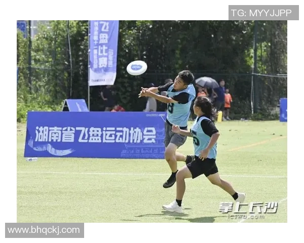 飞盘团队协作最新排名揭晓广州飞盘队稳居榜首引领潮流