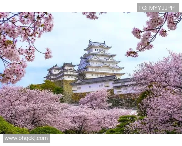 东京与大阪樱花的激烈对决结果揭晓精彩瞬间回顾与分析